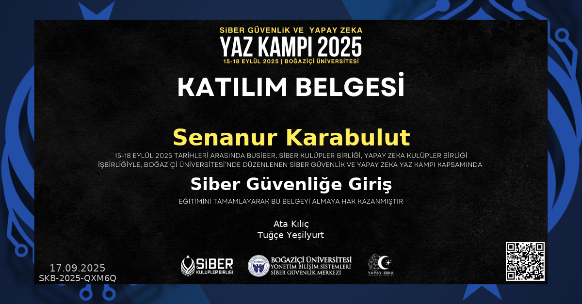 Siber Güvenliğe Giriş