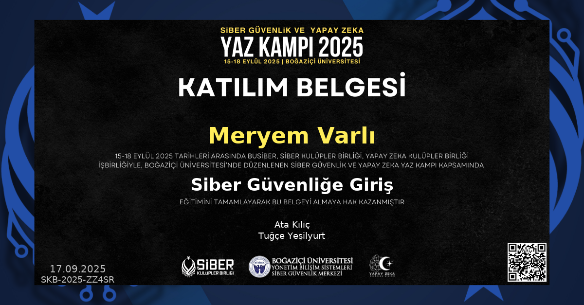 Siber Güvenliğe Giriş