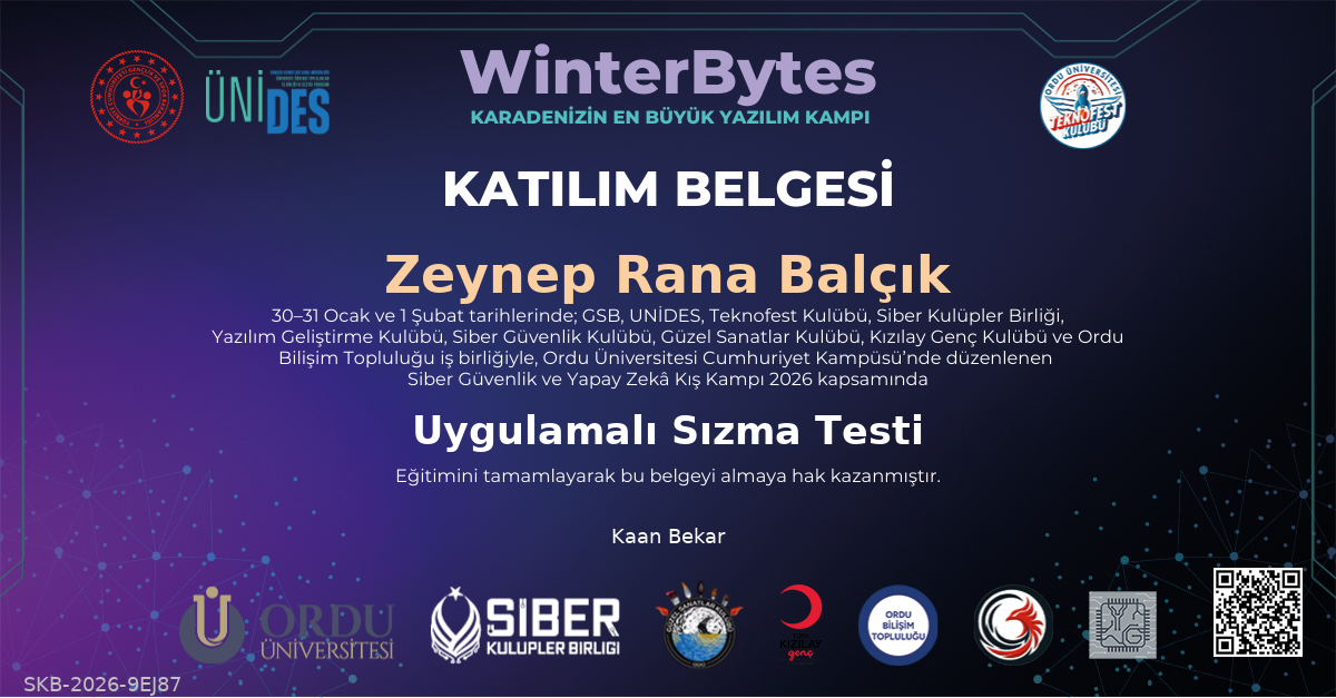 Uygulamalı Sızma Testi