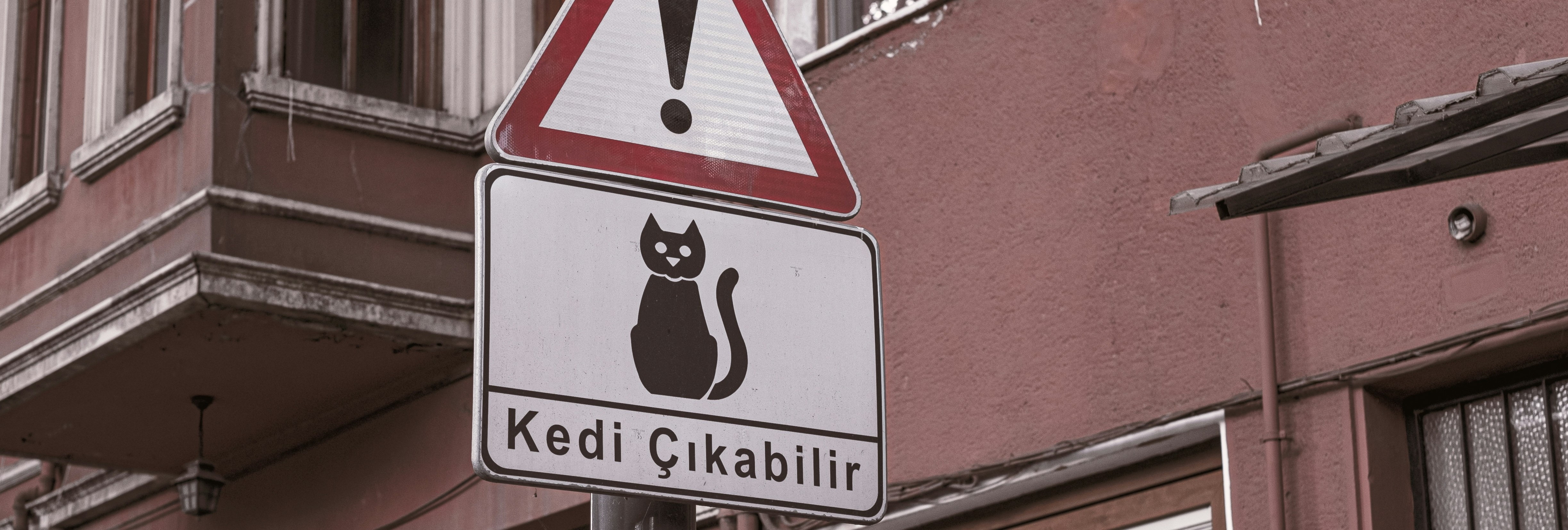Siber Kulüpler Güvenlik İletişim Bilgileri